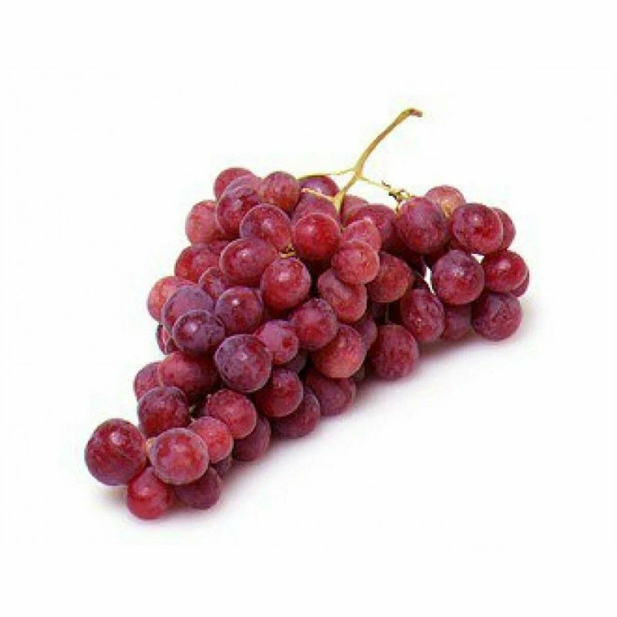 Виноград