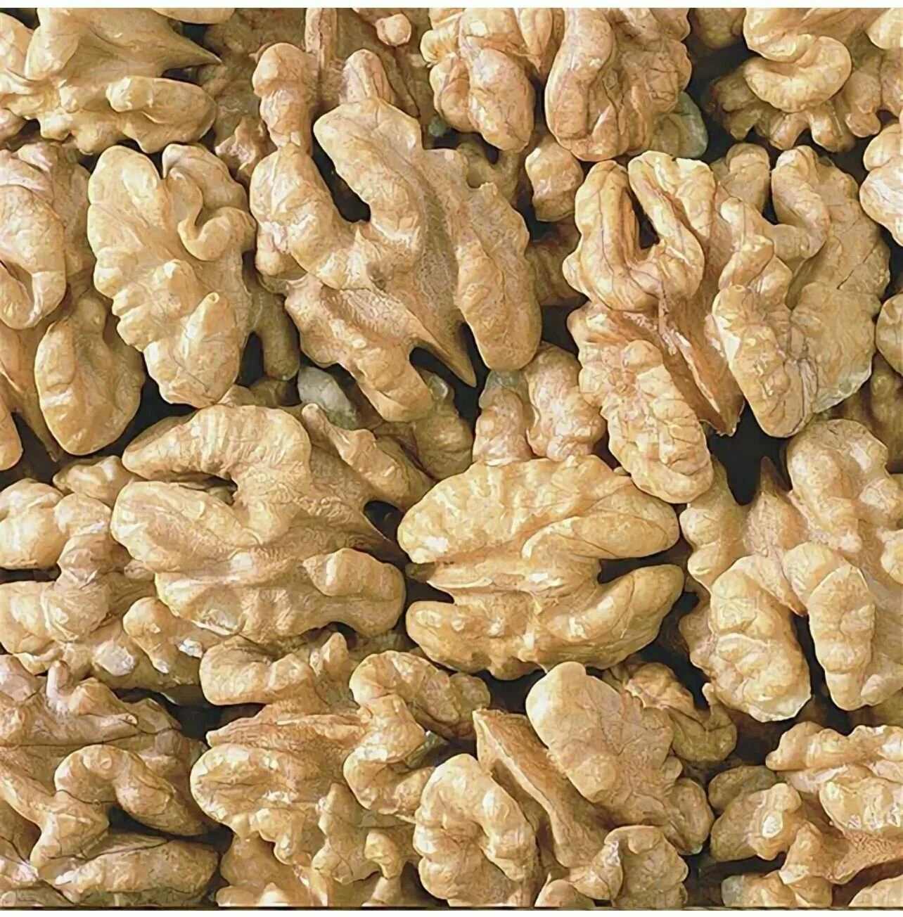 Грецкий орех