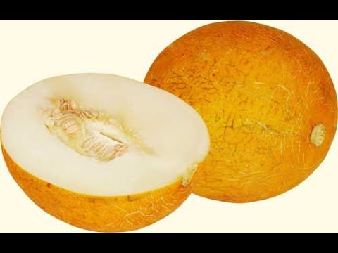 Дыня колхозница