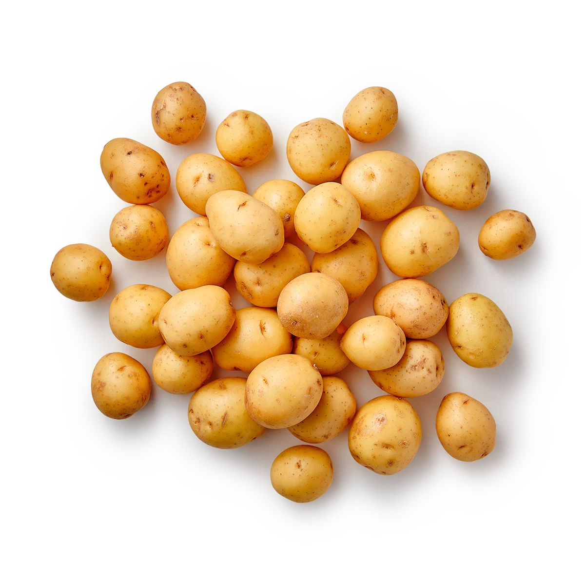Картофель беби